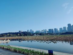 -月湖风景区