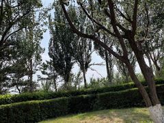 -丁香湖公园
