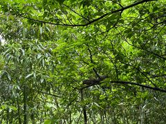 景点-西溪国家湿地公园