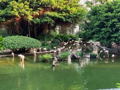 -九龙公园
