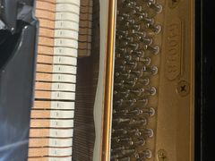 -柏斯琴行(汾阳店)