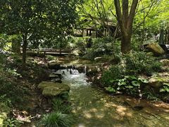 -中国茶叶博物馆(双峰馆区)