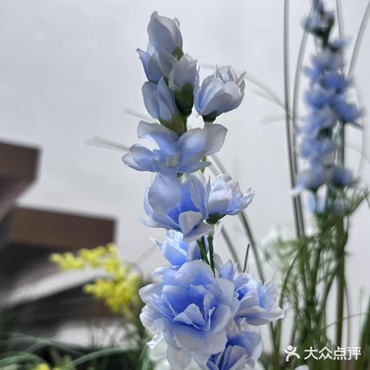 雨天偶遇｜被这家咖啡店的「花朵楼梯」美到了！