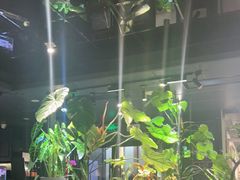 -懒人盐府人家(航天桥店)