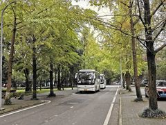 -四川大学(望江校区)