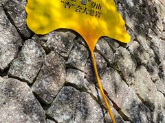 -大慈岩风景区