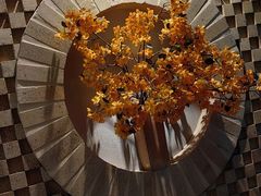 -Dragonfly 悠庭·按摩Spa(苏州中心广场店)