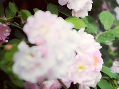 -白鹭湾湿地公园