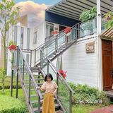 美滋滋 我们订的是星空泡泡屋，透明的圆形小屋