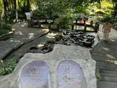 -成都市活水公园