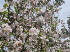 -元大都城垣遗址公园