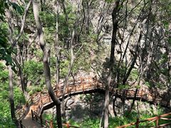 -大岭沟猕猴桃谷风景区