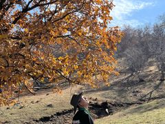 -克什克腾世界地质公园青山景区