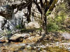 -小五台金河景区