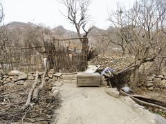 -大岭沟猕猴桃谷风景区