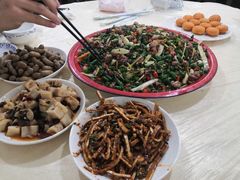 -东吴霸王兔(松青路店)