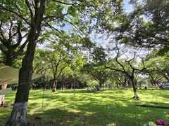 -东莞市大岭山森林公园
