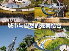 -白石龙音乐公园