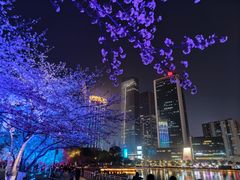 -西北湖绿化广场