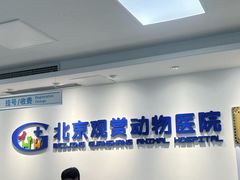 -北京观赏动物医院·24小时大型综合·猫专科·异宠专科