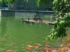 -春晖园度假酒店温泉