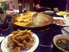 -杨家火锅(国美店)