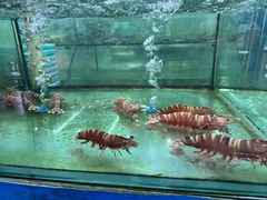 -聚鲜阁海鲜美食城(香水湾店)