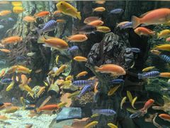 -太平洋海底世界