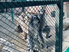 -水上乐园·欢乐世界