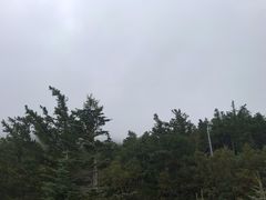 -富士山吉田線五合目