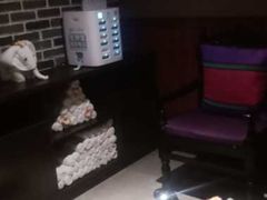 门面-泰禾馨·泰式按摩精油SPA(河西万达店)