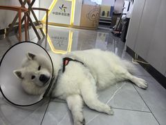 -中国体育彩票(竞彩店)