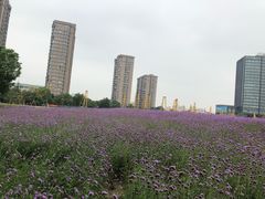 -杭州城北体育公园