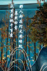 -美薇亭婚礼顾问