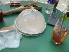 -喵屿·大理花园猫咖