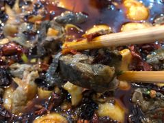 -黑竹香鸡(营和巷店)