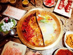 -小龙坎火锅(春熙太古里店)