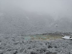 -黄龙山原始森林景区