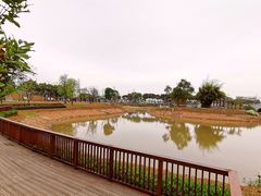 -王借岗森林公园