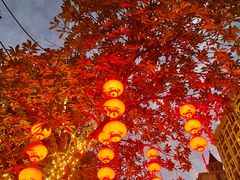 -上海浦东星河湾酒店