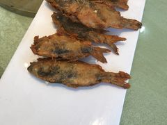 -小北江河鲜(新城店)
