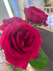 -名媛颜蕙·LPG官方旗舰店