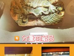 -呼和浩特博物馆