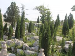 -原山国家森林公园