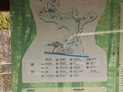 -都江堰中华大熊猫苑