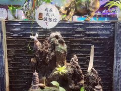 -巴犀烧烤(新崇光店)