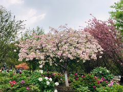 -江南大学(蠡湖校区)