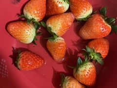 -达美乐比萨(长清路店)