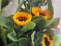 -雪蔓之鲜花气球派对(家佳源时代中心店)
