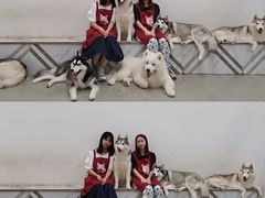 -星多哈·狗咖·拼豆·咖啡